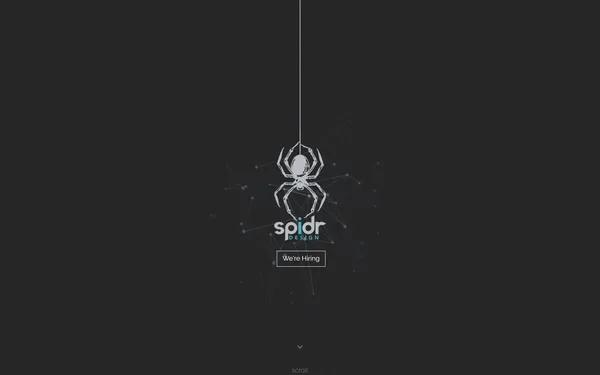 img of B2B Digital Marketing Agency - Spider Design, Inc.